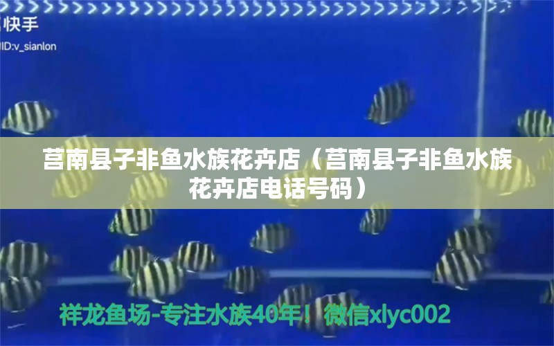 莒南县子非鱼水族花卉店（莒南县子非鱼水族花卉店电话号码） 全国水族馆企业名录