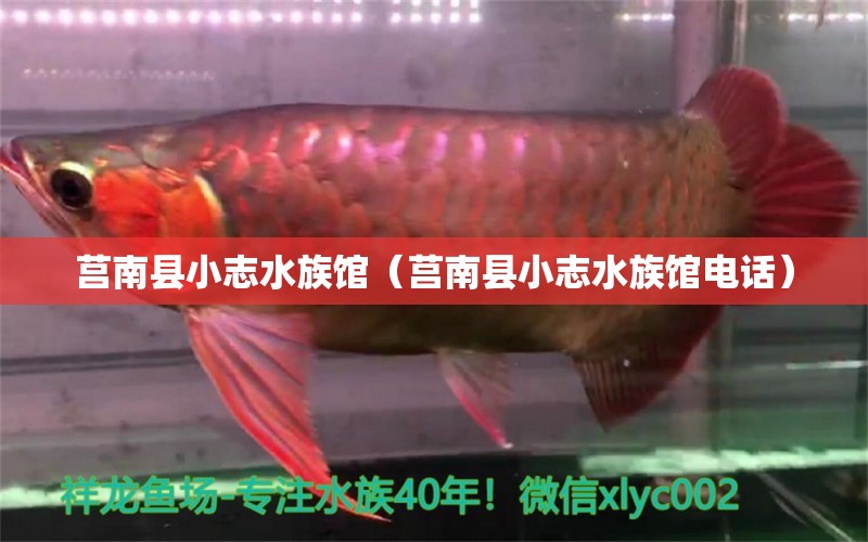 莒南县小志水族馆（莒南县小志水族馆电话）