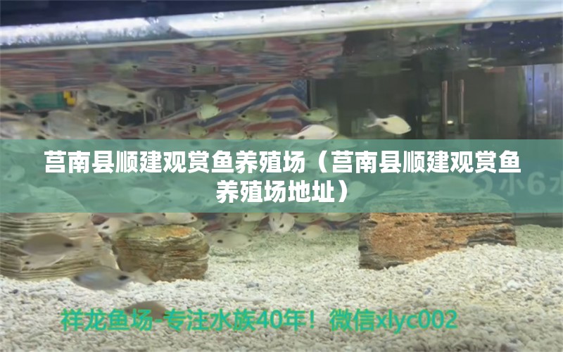 莒南县顺建观赏鱼养殖场（莒南县顺建观赏鱼养殖场地址） 全国水族馆企业名录