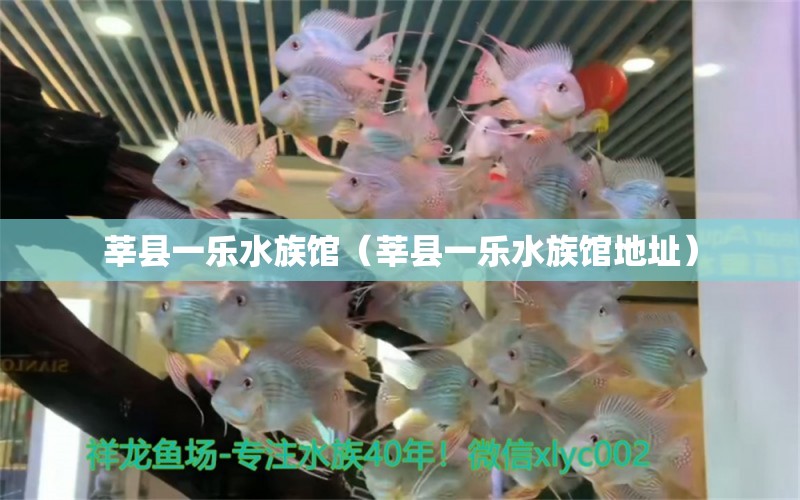 莘县一乐水族馆（莘县一乐水族馆地址）