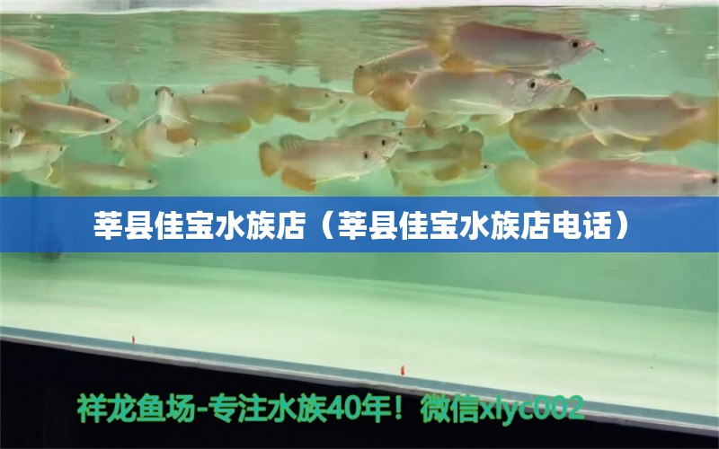 莘县佳宝水族店（莘县佳宝水族店电话）