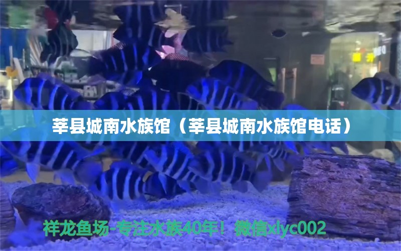 莘县城南水族馆（莘县城南水族馆电话）