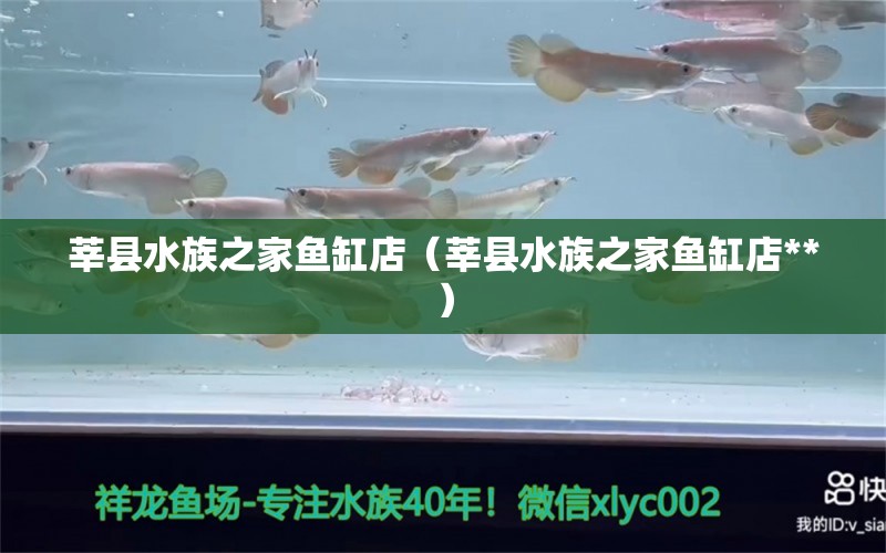 莘县水族之家鱼缸店（莘县水族之家鱼缸店**）