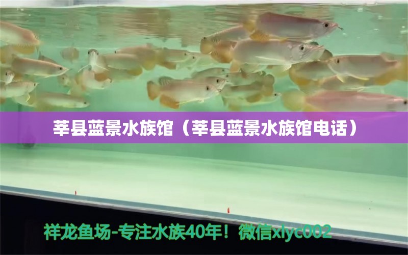 莘县蓝景水族馆（莘县蓝景水族馆电话）