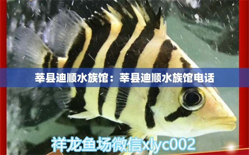 莘县迪顺水族馆：莘县迪顺水族馆电话