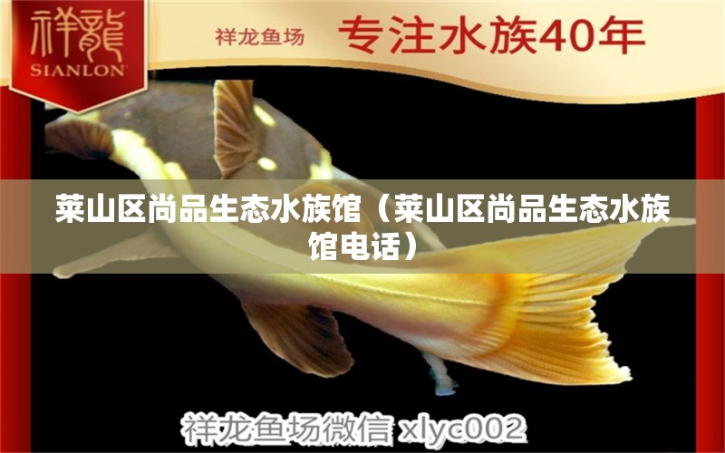 莱山区尚品生态水族馆（莱山区尚品生态水族馆电话）