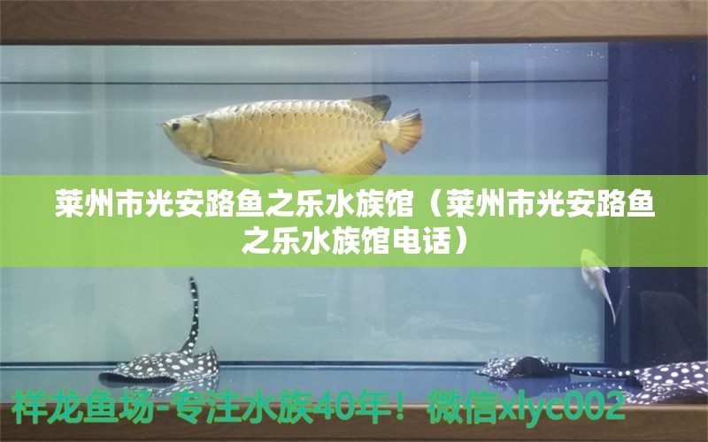 莱州市光安路鱼之乐水族馆（莱州市光安路鱼之乐水族馆电话）