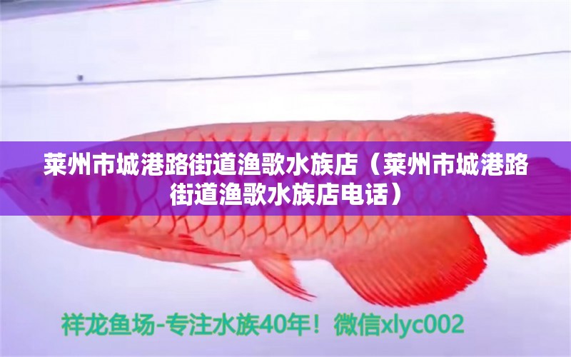 莱州市城港路街道渔歌水族店（莱州市城港路街道渔歌水族店电话）