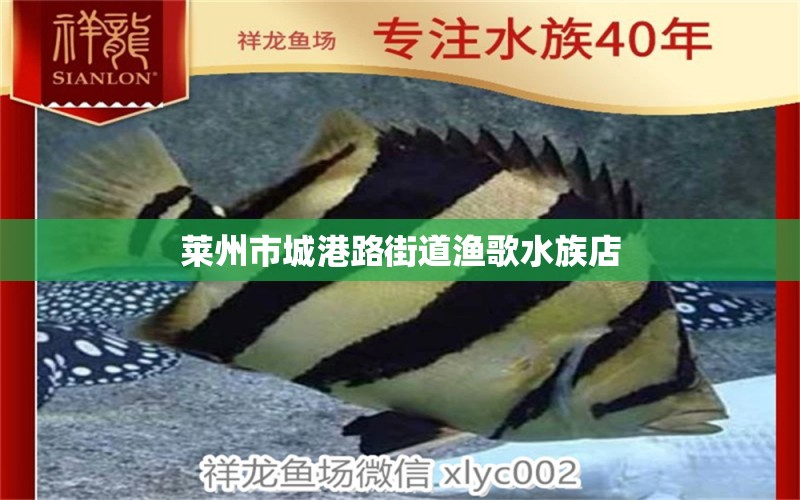 莱州市城港路街道渔歌水族店 全国水族馆企业名录