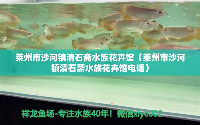 莱州市沙河镇清石斋水族花卉馆（莱州市沙河镇清石斋水族花卉馆电话）