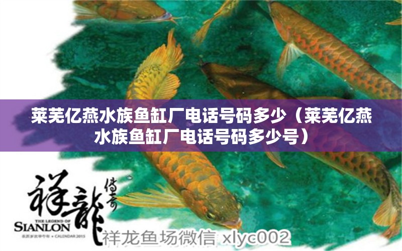 莱芜亿燕水族鱼缸厂电话号码多少（莱芜亿燕水族鱼缸厂电话号码多少号）