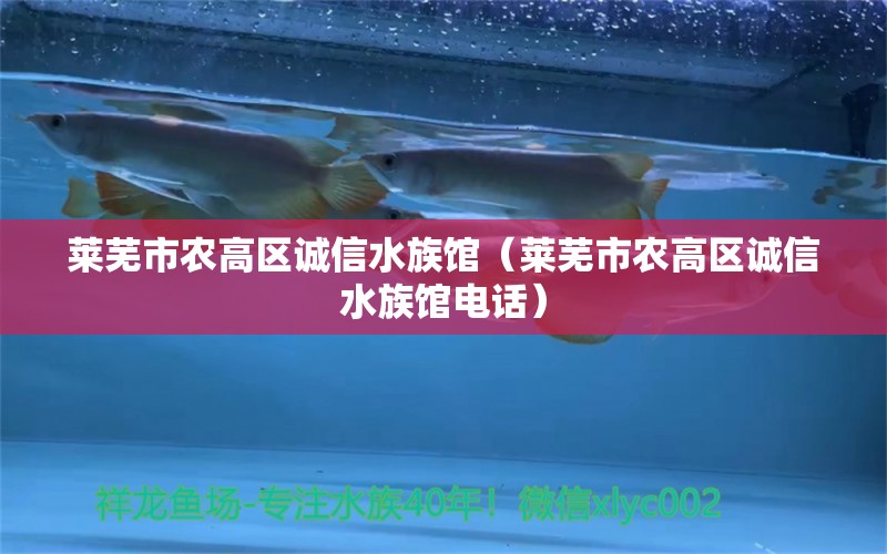 莱芜市农高区诚信水族馆（莱芜市农高区诚信水族馆电话）