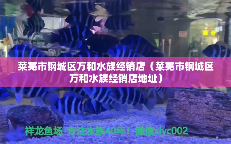 莱芜市钢城区万和水族经销店（莱芜市钢城区万和水族经销店地址）