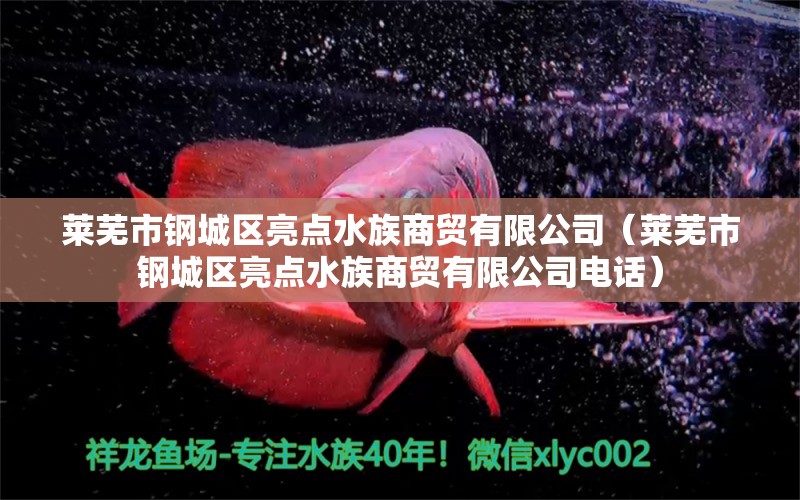 莱芜市钢城区亮点水族商贸有限公司（莱芜市钢城区亮点水族商贸有限公司电话）