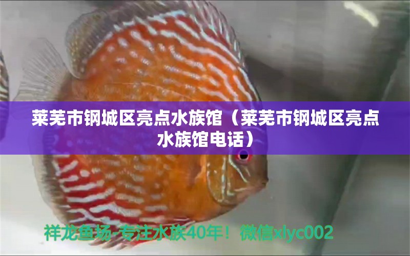 莱芜市钢城区亮点水族馆（莱芜市钢城区亮点水族馆电话）