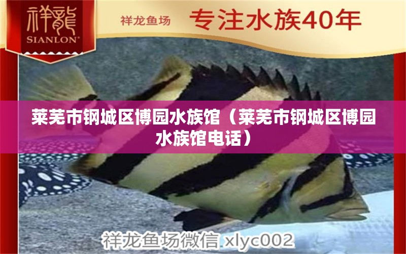 莱芜市钢城区博园水族馆（莱芜市钢城区博园水族馆电话） 全国水族馆企业名录