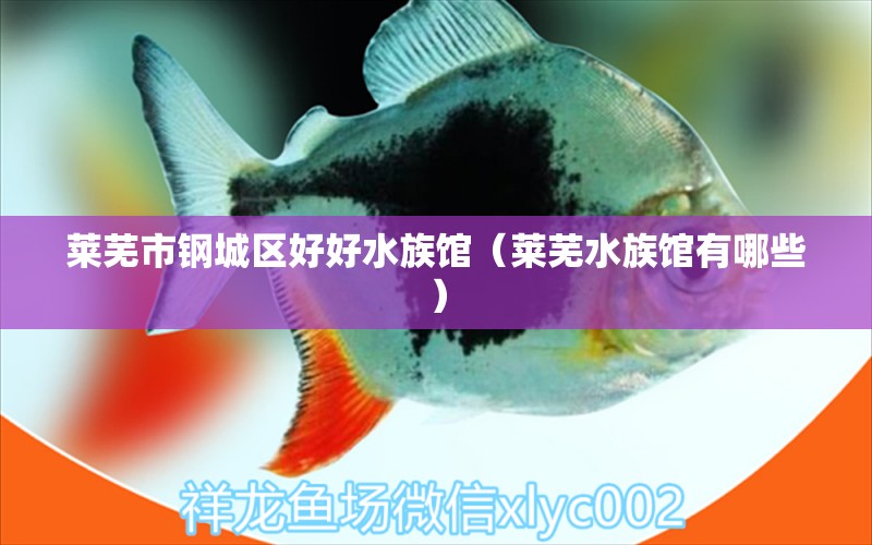 莱芜市钢城区好好水族馆（莱芜水族馆有哪些）