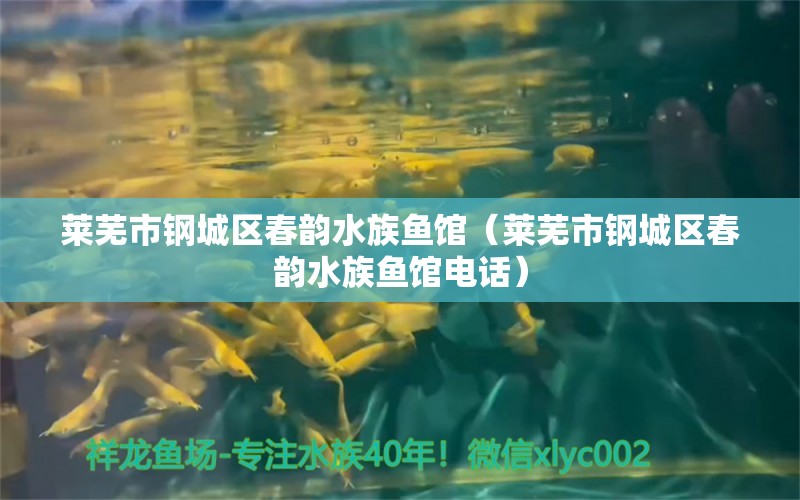 莱芜市钢城区春韵水族鱼馆（莱芜市钢城区春韵水族鱼馆电话） 全国水族馆企业名录