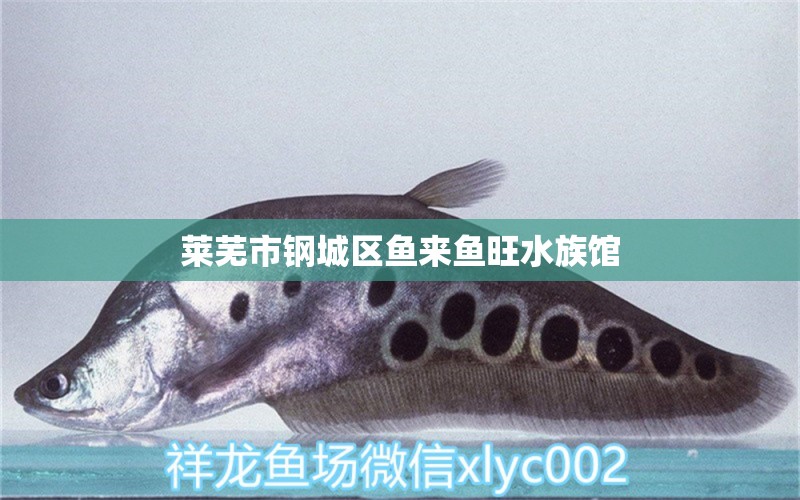 莱芜市钢城区鱼来鱼旺水族馆 全国水族馆企业名录
