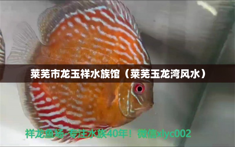 莱芜市龙玉祥水族馆（莱芜玉龙湾风水） 鱼缸风水