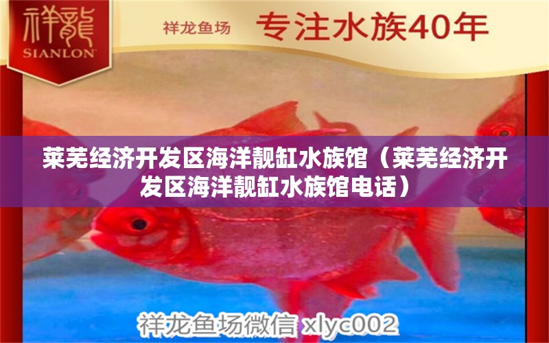 莱芜经济开发区海洋靓缸水族馆（莱芜经济开发区海洋靓缸水族馆电话） 全国水族馆企业名录