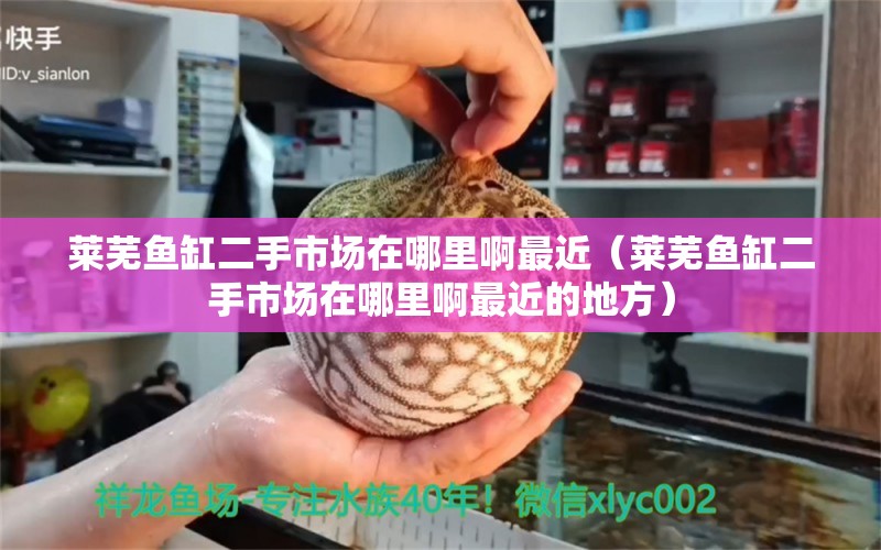 莱芜鱼缸二手市场在哪里啊最近（莱芜鱼缸二手市场在哪里啊最近的地方） 广州观赏鱼批发市场