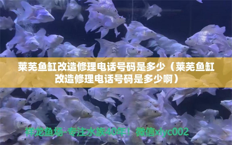 莱芜鱼缸改造修理电话号码是多少（莱芜鱼缸改造修理电话号码是多少啊） 银河星钻鱼