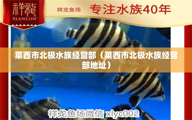 莱西市北极水族经营部（莱西市北极水族经营部地址）