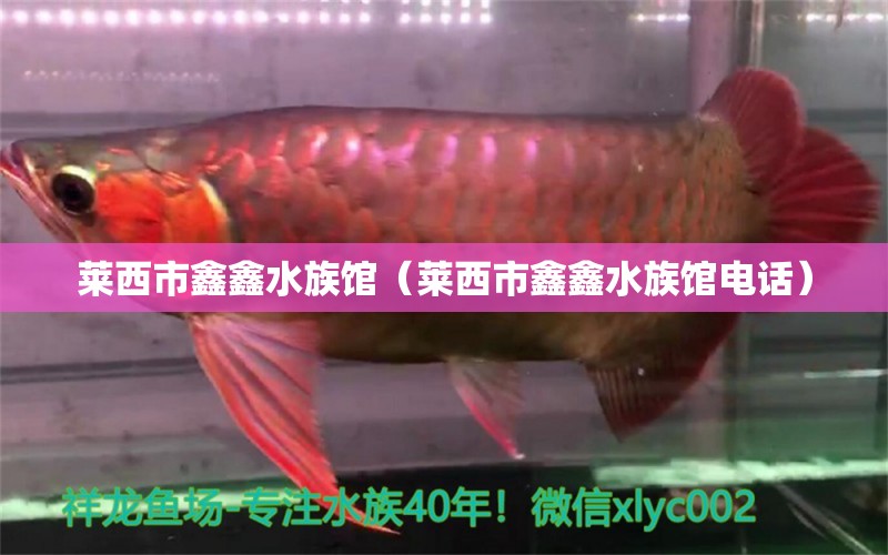 莱西市鑫鑫水族馆（莱西市鑫鑫水族馆电话）