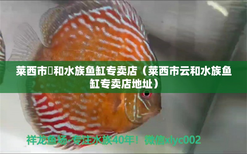 莱西市雲和水族鱼缸专卖店（莱西市云和水族鱼缸专卖店地址） 全国水族馆企业名录