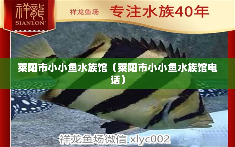 莱阳市小小鱼水族馆（莱阳市小小鱼水族馆电话） 全国水族馆企业名录