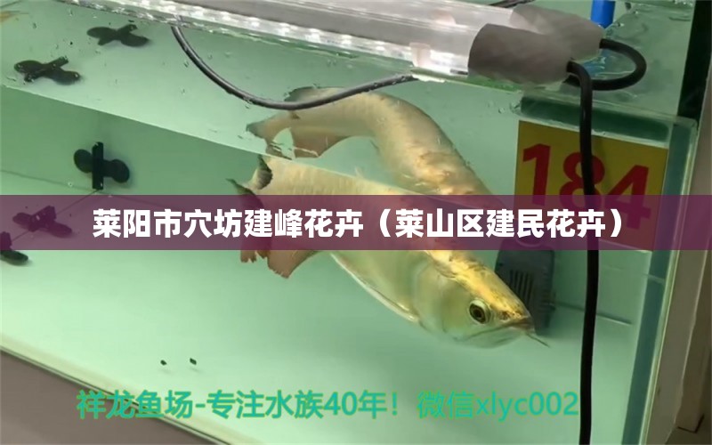 莱阳市穴坊建峰花卉（莱山区建民花卉） 全国水族馆企业名录