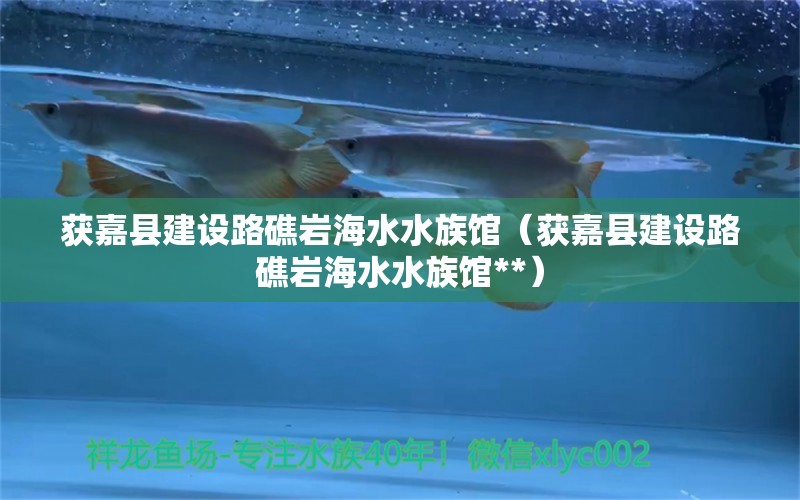 获嘉县建设路礁岩海水水族馆（获嘉县建设路礁岩海水水族馆**）