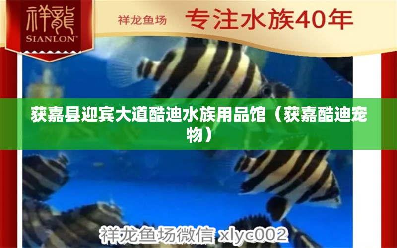 获嘉县迎宾大道酷迪水族用品馆（获嘉酷迪宠物）