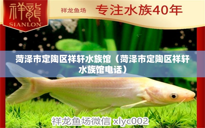 菏泽市定陶区祥轩水族馆（菏泽市定陶区祥轩水族馆电话）