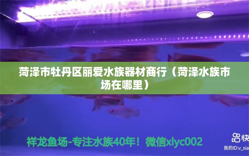 菏泽市牡丹区丽爱水族器材商行（菏泽水族市场在哪里）