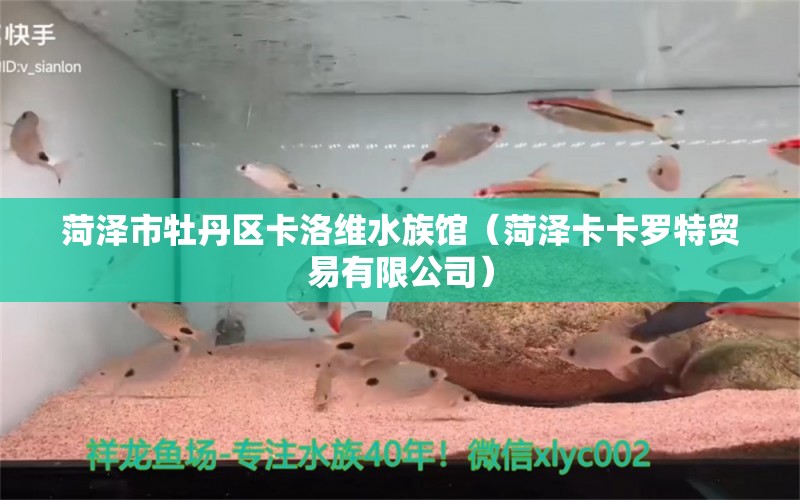 菏泽市牡丹区卡洛维水族馆（菏泽卡卡罗特贸易有限公司）