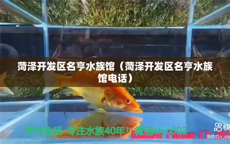 菏泽开发区名亨水族馆（菏泽开发区名亨水族馆电话） 全国水族馆企业名录