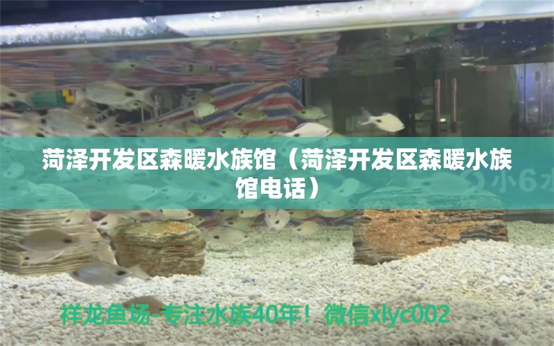 菏泽开发区森暖水族馆（菏泽开发区森暖水族馆电话）