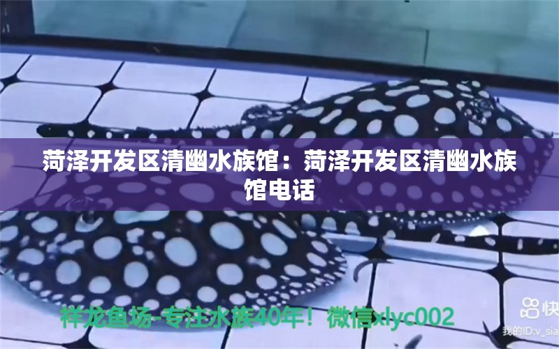 菏泽开发区清幽水族馆：菏泽开发区清幽水族馆电话