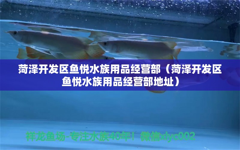 菏泽开发区鱼悦水族用品经营部（菏泽开发区鱼悦水族用品经营部地址）