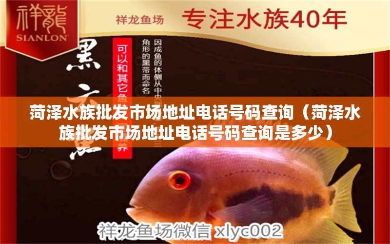 菏泽水族批发市场地址电话号码查询（菏泽水族批发市场地址电话号码查询是多少）