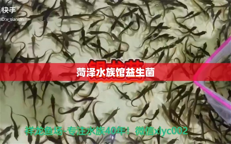 菏泽水族馆益生菌