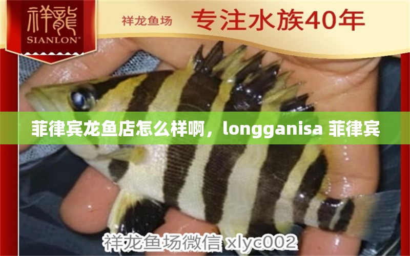 菲律宾龙鱼店怎么样啊，longganisa 菲律宾