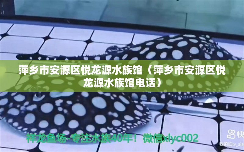 萍乡市安源区悦龙源水族馆（萍乡市安源区悦龙源水族馆电话）