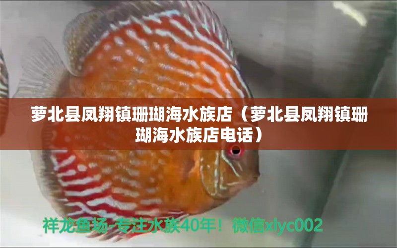 萝北县凤翔镇珊瑚海水族店（萝北县凤翔镇珊瑚海水族店电话）