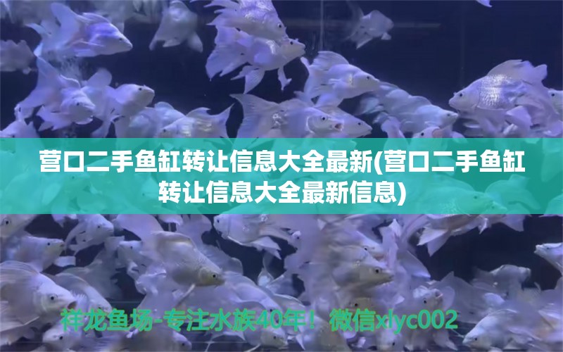 营口二手鱼缸转让信息大全最新(营口二手鱼缸转让信息大全最新信息)