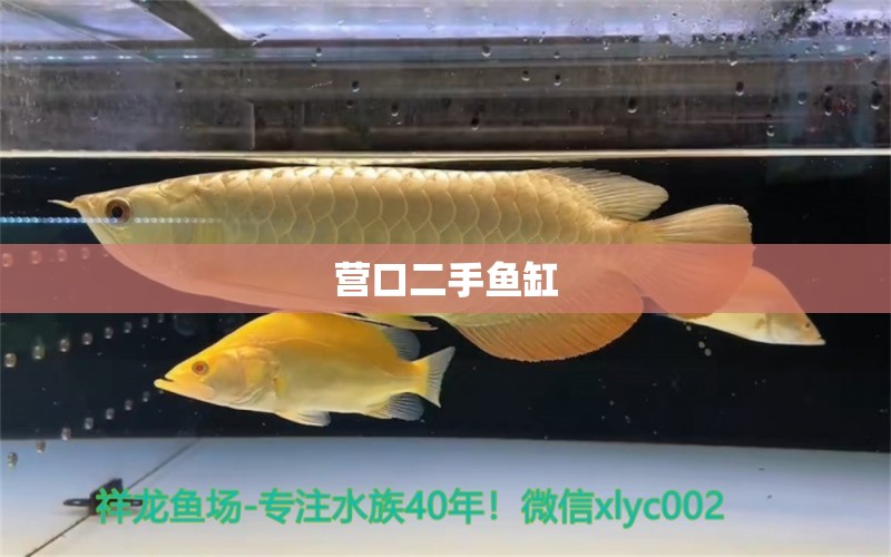 营口二手鱼缸