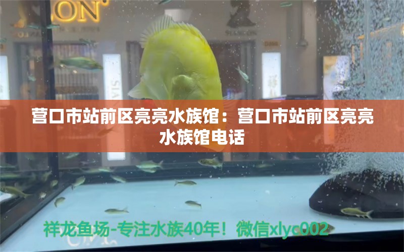 营口市站前区亮亮水族馆：营口市站前区亮亮水族馆电话