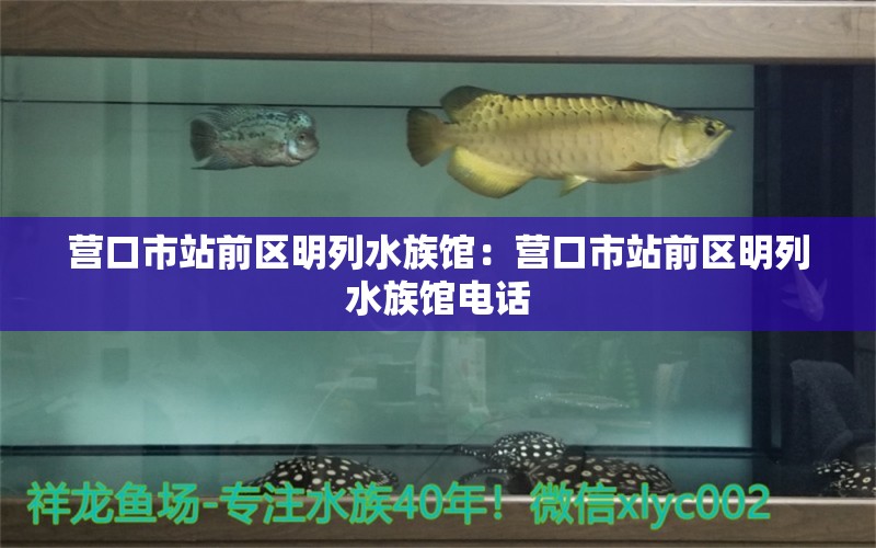 营口市站前区明列水族馆：营口市站前区明列水族馆电话 全国水族馆企业名录